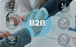 B2B or B2C e-Commerce Development