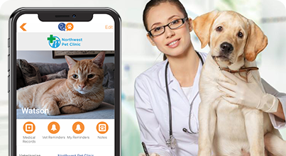 Veterinary Services